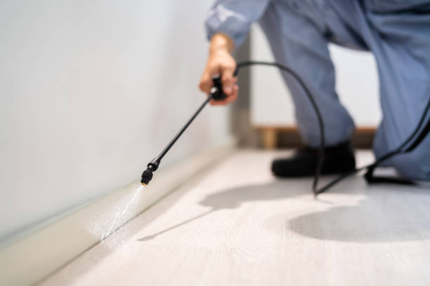 Licensed Termite Control service in Bonanza, GA - Nex Pest Control