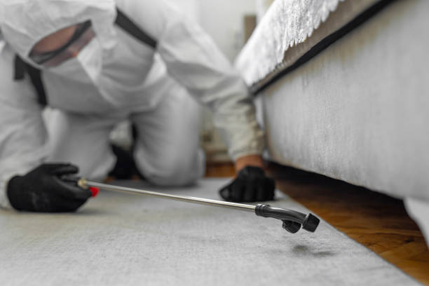 Professional Termite Control technician working in Bonanza, GA