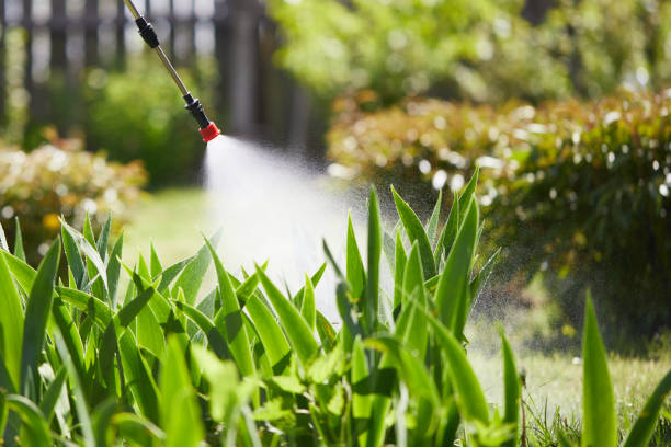 24/7 Emergency Termite Control experts in Bonanza, GA