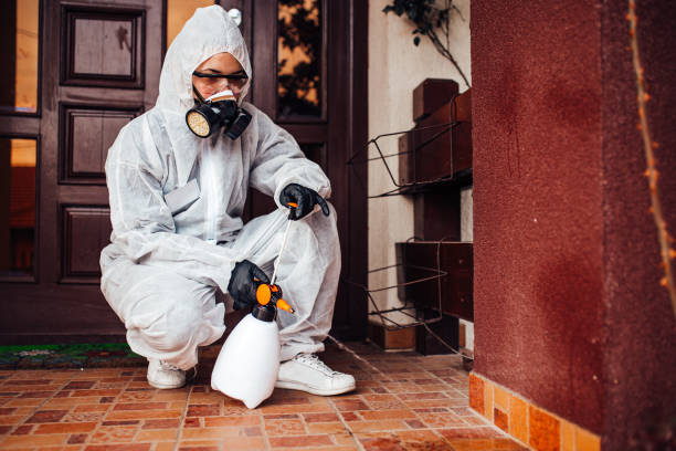 Reliable Termite Control contractor in Bonanza, GA by Nex Pest Control